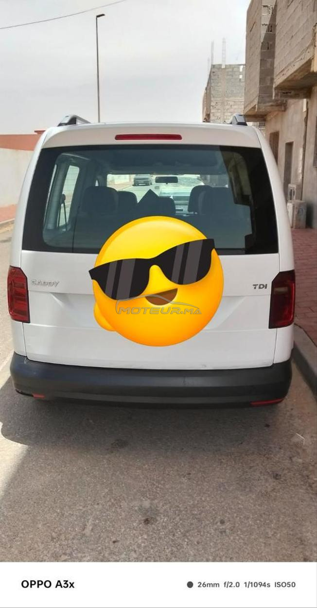 مدينة العيون