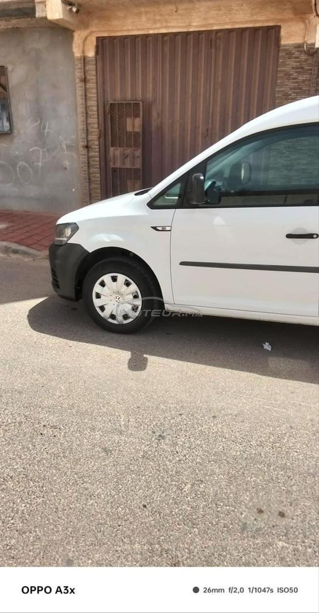 مدينة العيون