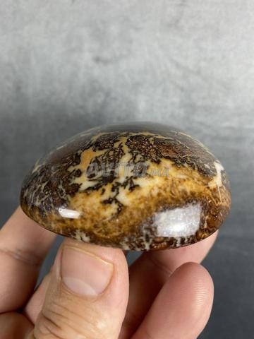 Pierre cabochon 261 Gr - 2