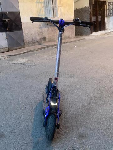 Trottinette Bison à vendre - 2