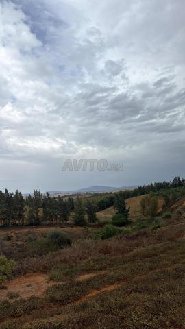 أرض للبيع - 2