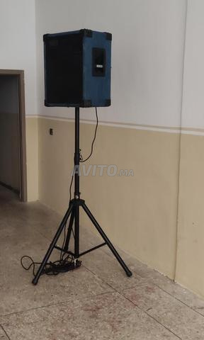 Baffle L12 RCF Italie avec câble xlr et support