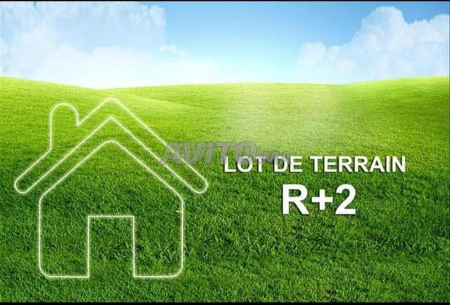 Terrain 174m/R2 en vente à Témara wifak