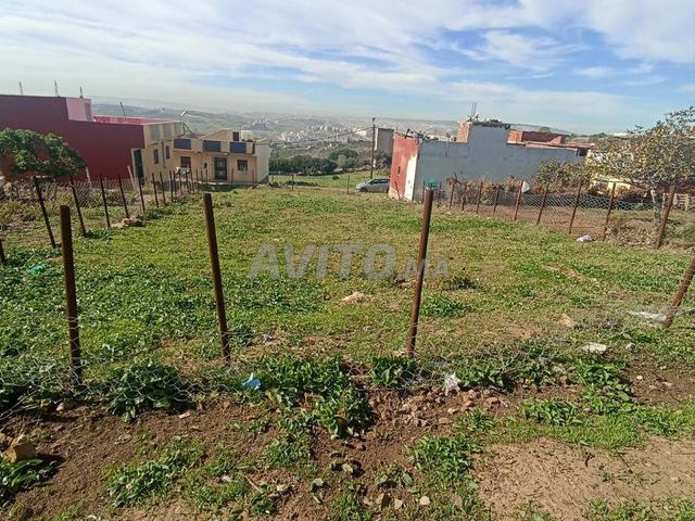 أرض للبيع شجيرات طنجة 131م - 2