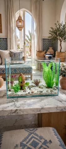 Aquariums d'ornement - 2