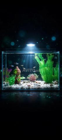 🤍🩵🌿🌱🐟🐟 Aquariums pour poissons d'ornement - 2