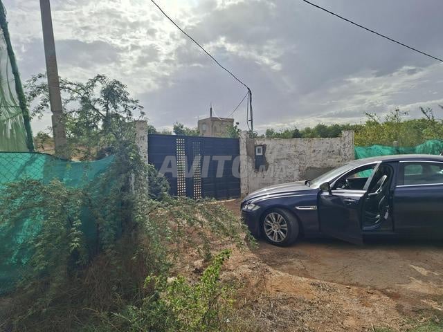 Vente 1ha 200m² à 7 km de Allal Bahraoui