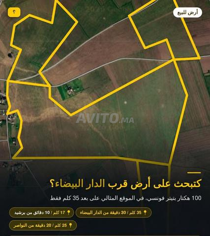 Terrain 100 hectares titré à vendre - 50 millions par hectare