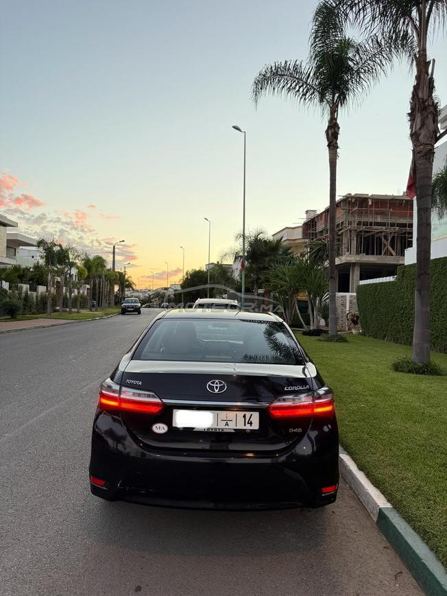 Toyota corolla 2019