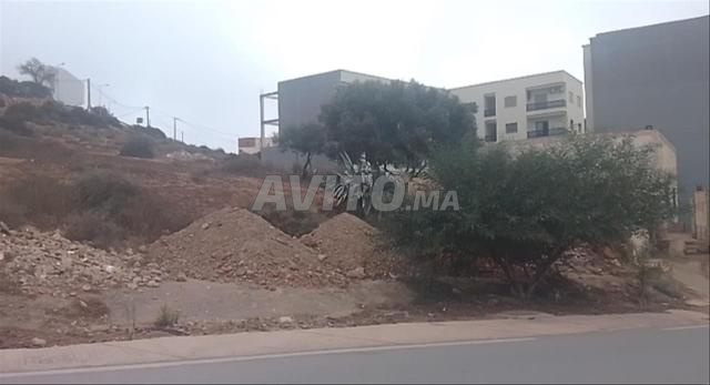 Al Hoceima - Tala Yousef - 2