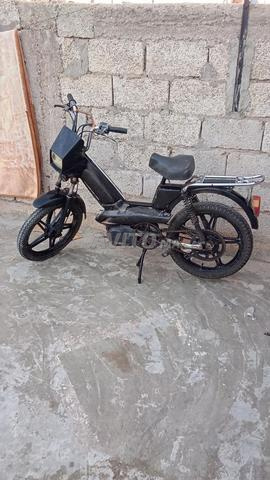 Moto