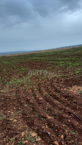 8 hectares à vendre - 2