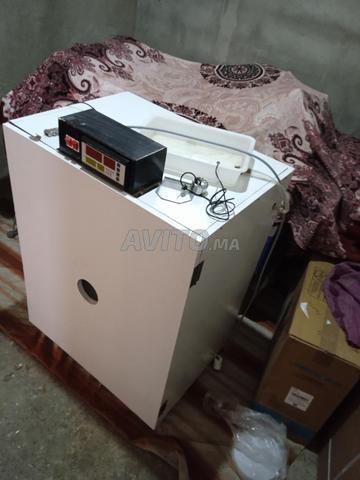 فقاسة بيض 350، باقة جديدة - 2
