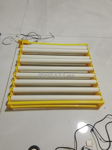 Kit pondeuse - 2