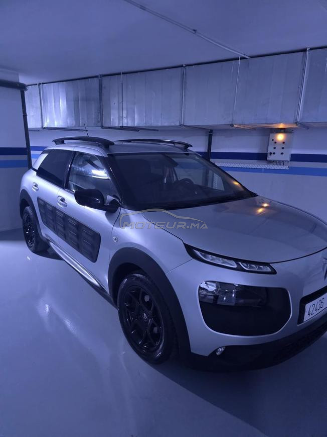 C4 cactus 