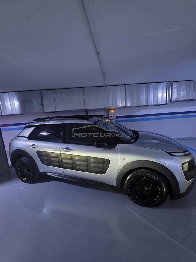 C4 cactus 