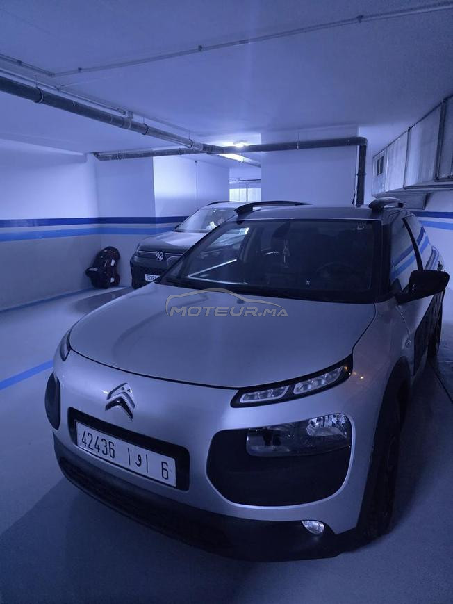 C4 cactus 