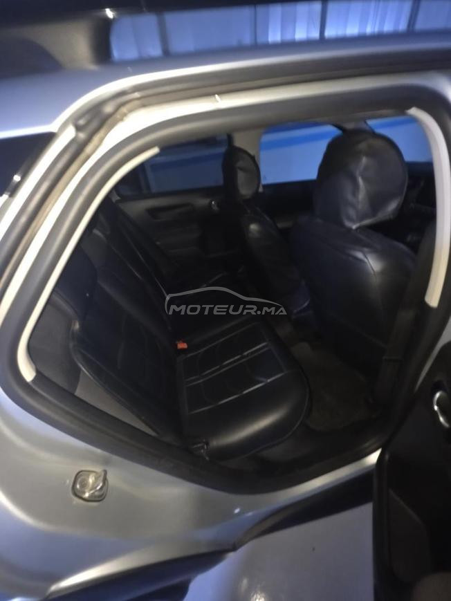 C4 cactus 
