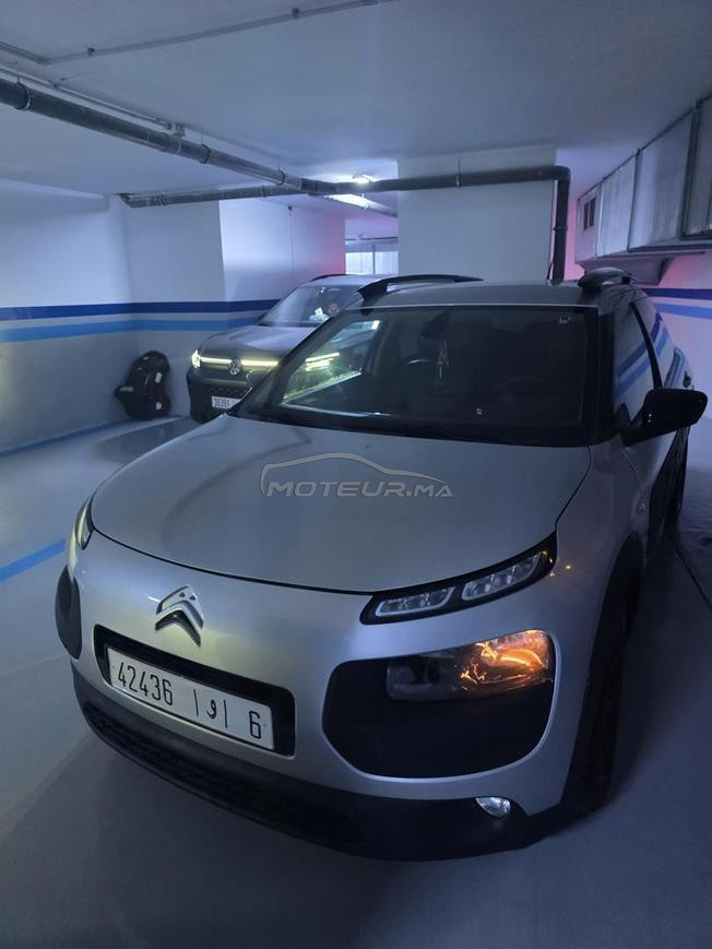 C4 cactus 