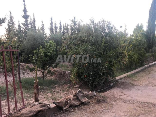 Terrain de 5000m² - 2