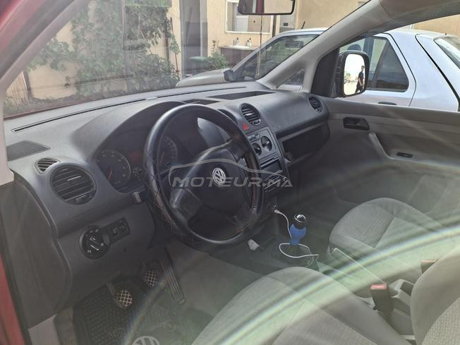 ورزازات دوار الشمس 