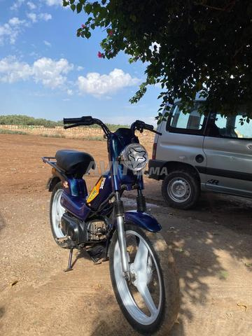 فوكس بيجو - 2