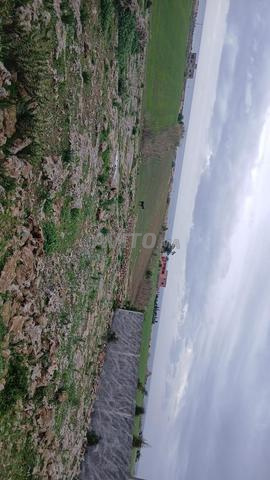 Terrain Slaali à Jamaa Oulad Ghanem, environs d'El Jadida, près de la mer. - 2
