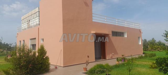 Domaine agricole titré et équipé à 45min de Rabat - 2