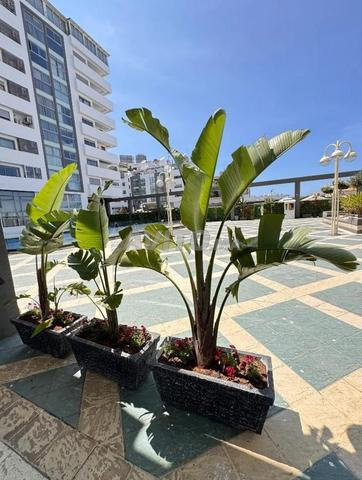 Duplex avec piscine et vue sur mer à louer 90 - 2