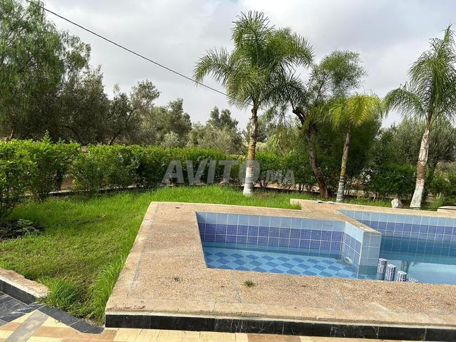 Stylos Settat Sedr - 2