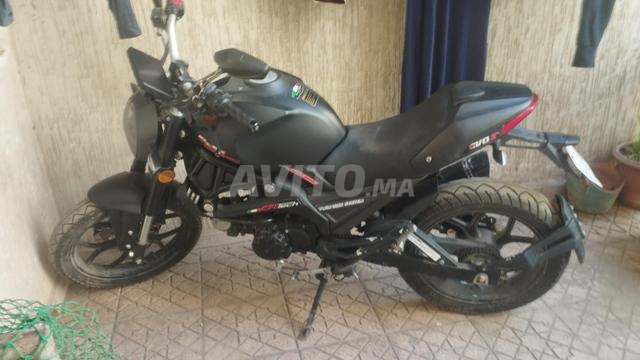 Cimatti monster evo3 - 2