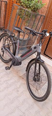 Gazelle Ultimate Performance Line - 2