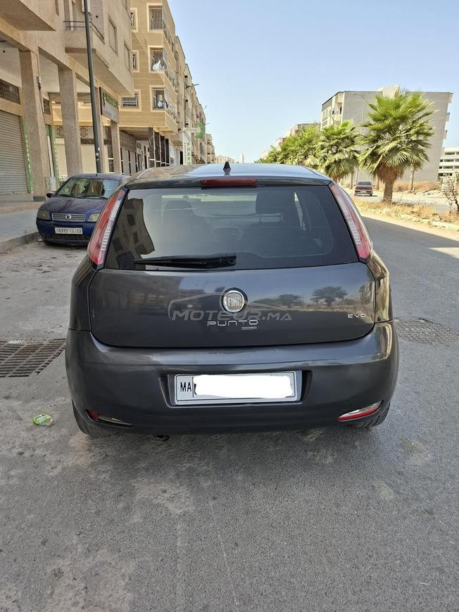 fiat  2013