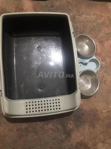 معدات قطط بسعر جيد - 2