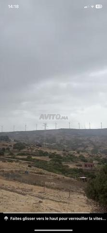 طنجة ملوسة عين سعيد - 2