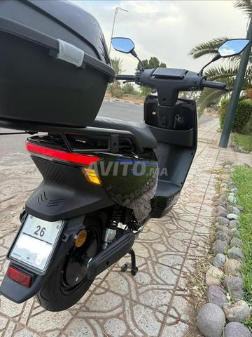 Moto électrique Tailg Star - 2