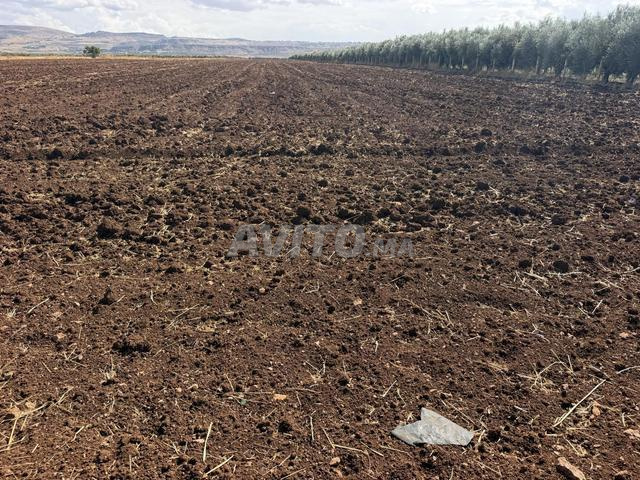 3 hectares à vendre - 2