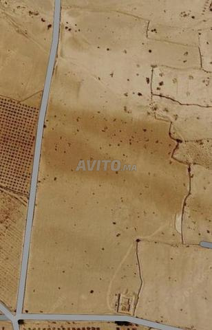 Terrain Agricole 10 Ha TITRÉ