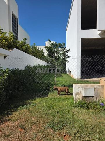 À LOUER – VILLA COMMERCIALE À DAR BOUAZZA - 2