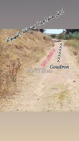 Terrain à 600 mètres de l'oued - 2