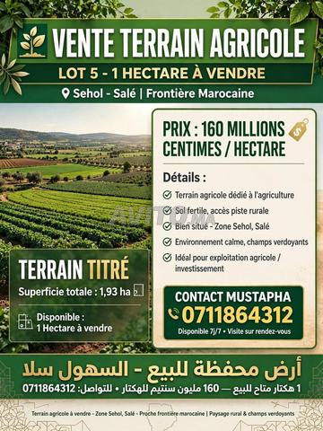 Terrain à vendre Sala El Jadida