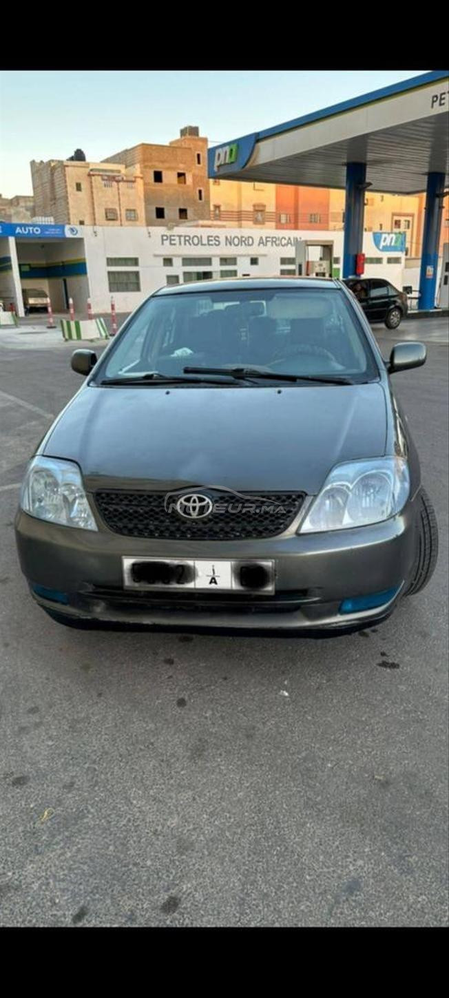 العيون -الساقية الحمراء