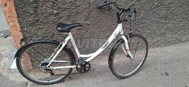Vélo pour femmes et hommes, modèle Madame - 2
