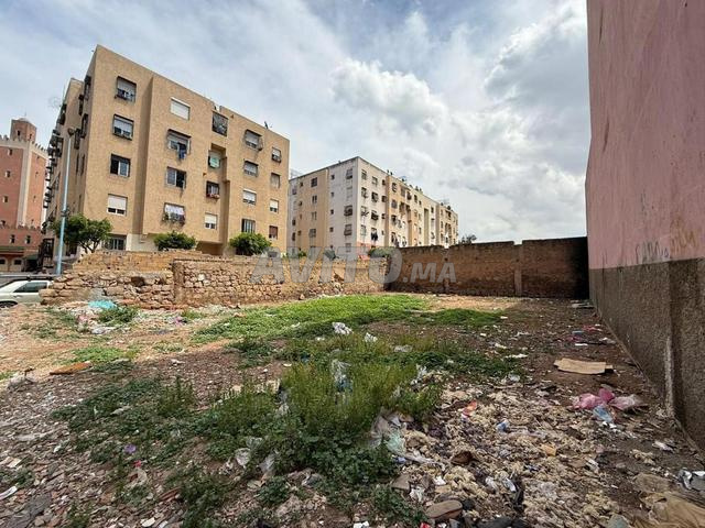 Terrain titré pour projet de hammam - 2