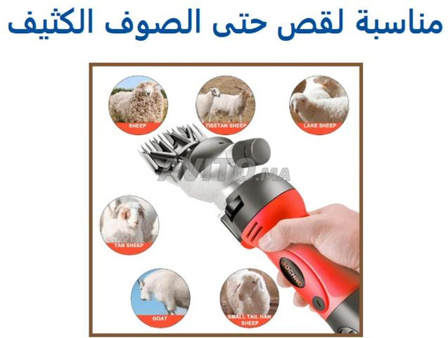 آلة قص كهربائية للأغنام 850 واط - 2