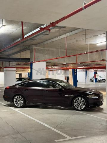 Jaguar XJ Diesel Automatique 2012 à Rabat - 2