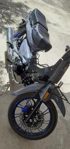 C50 غريناردو 2025 / 127cc سبايدر أصلي - 2