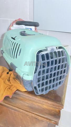 Cage de transport pour animaux de compagnie. - 2