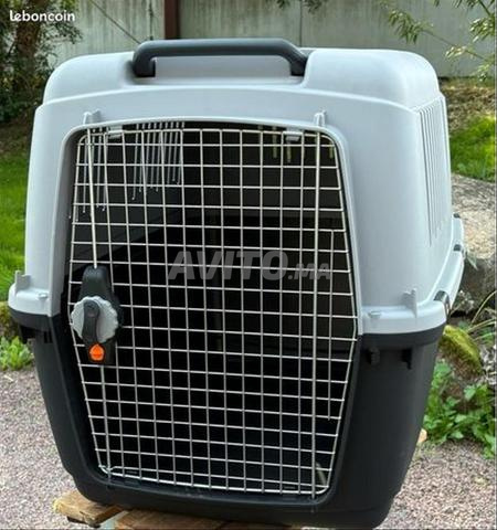 Caisse de transport pour chien - 2