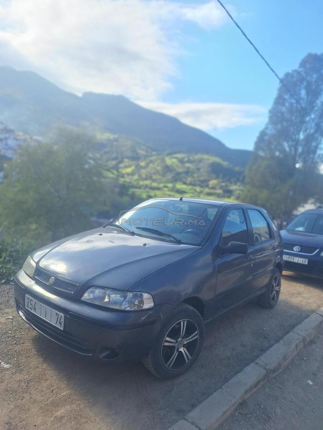 fiat palio mazot 